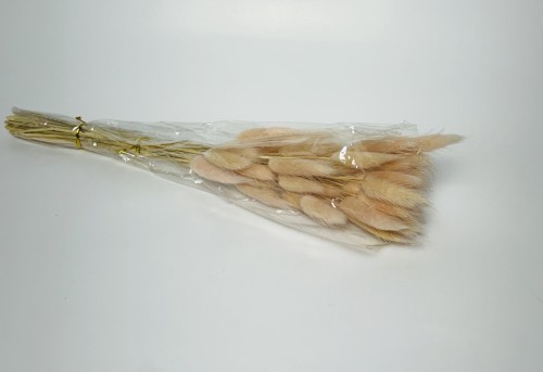 Dried Bunny Tails Dark Skin (Pack of 60pcs) - BNBA