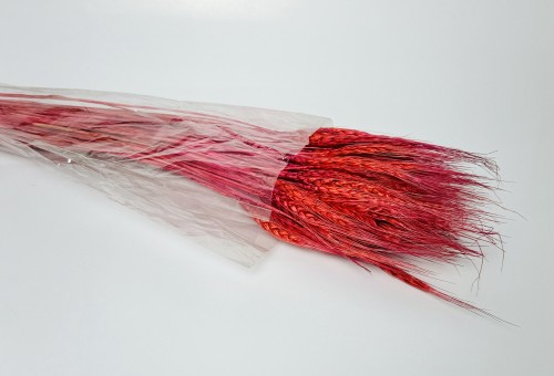 Dried Wheat Grass Red (Pack of 60pcs) - BNBA