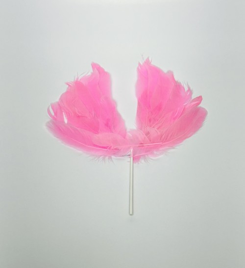 Wing Feather Topper Pink - BNBA