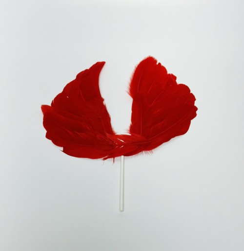 Wing Feather Topper Red - BNBA